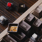 8BitDo Retro Mechanical Keyboard (M Edition ships on July 15th, 2024)