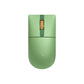 8BitDo Retro R8 Mouse - Forest Wonder