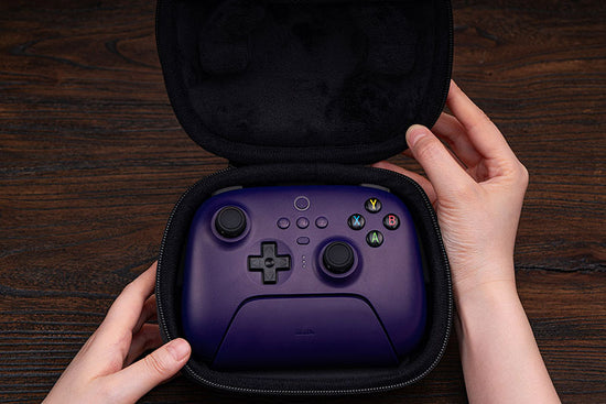 Custom Controller Case – 8BitDo